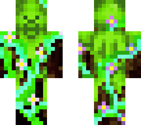 forest steve