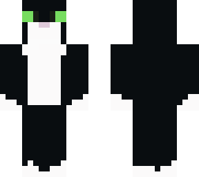 black and white cat named soren