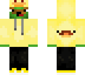 turtle duck
