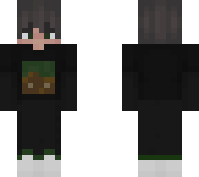 a minecraft fan