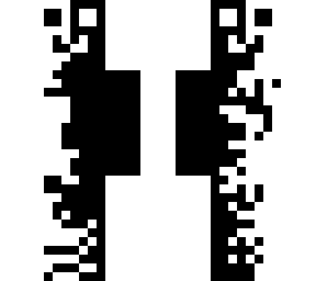 the black and white skin