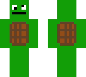 turtle steet