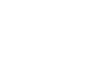 blank