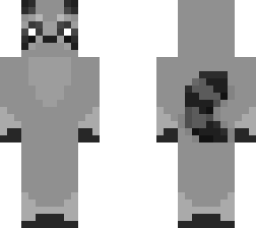 lil raccoon thing