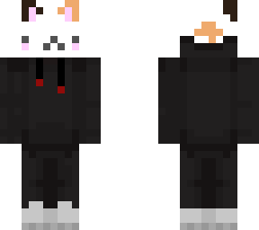 cat v3