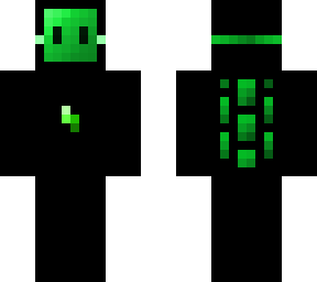 green turtle skin (3d)