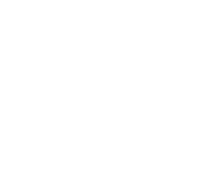 irukandji (fixed)