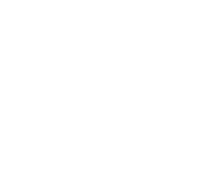 irukandji