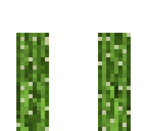 cactus camo