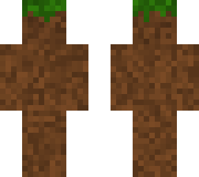 dirt skin