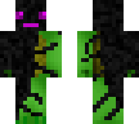 enderturtle