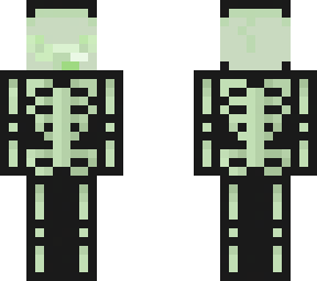 skele-turtle fixed