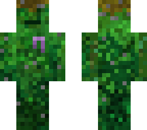 tree/bush