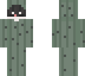 cactus boy