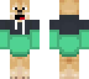 dog with green hoddie
