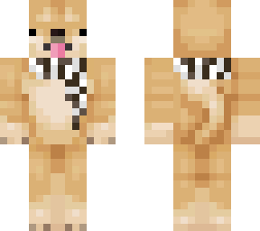 doge in scarf