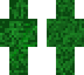 camo guy