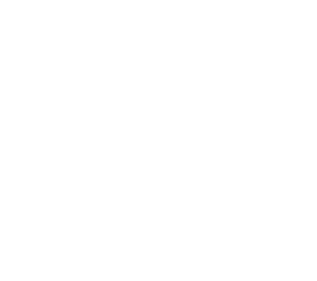 slim skin
