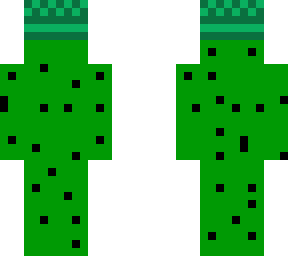 bucket helm cactus