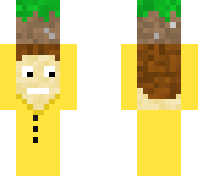 holding dirt block