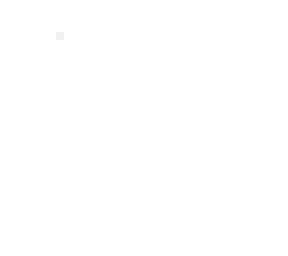 inbisible