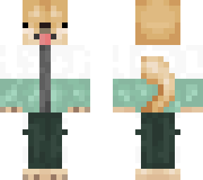 skin