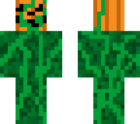 pumpkin on vines