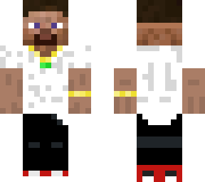 steve 2.0