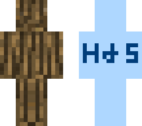 hide & seek (woody_player1)