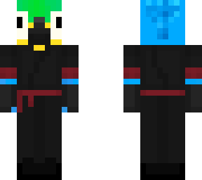 parrotninja