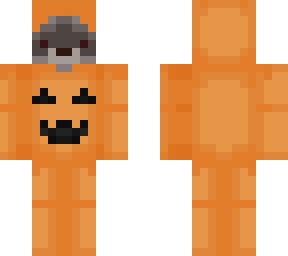 raccoon pumpkin