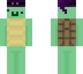 bewitched turtle