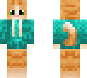 cat in a hoodie (3px)