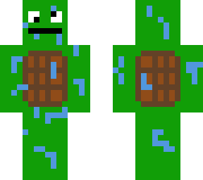 cold turtlesteet