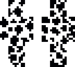 cow print