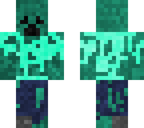 swamp montoer