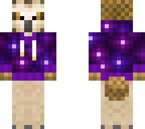 striped owl (space hoodie)