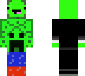 the turtle