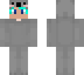 a koala guy