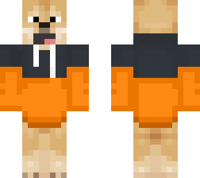 dog with orange hoddie