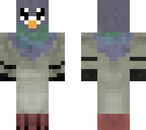 pigeon