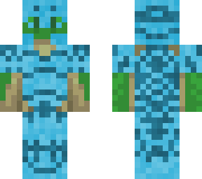 turtle warrior
