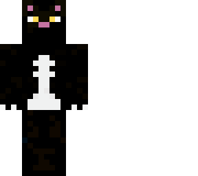 black cat