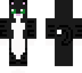black cat