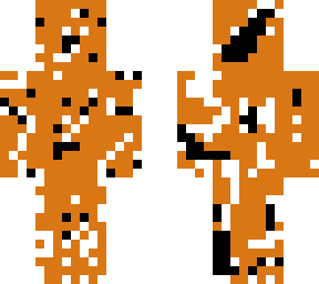 moldy pumkin