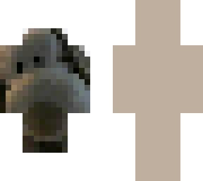 a dog