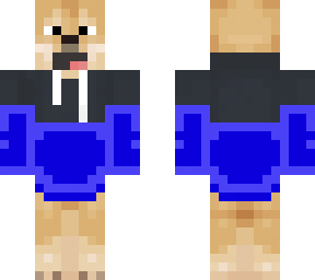 dog with blue hoodie