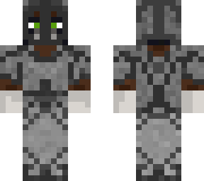 knight cat