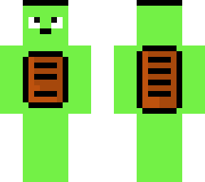 turtle dude