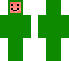 melon skin
